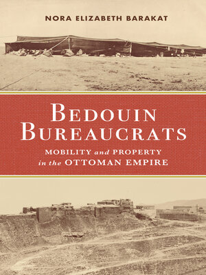 cover image of Bedouin Bureaucrats